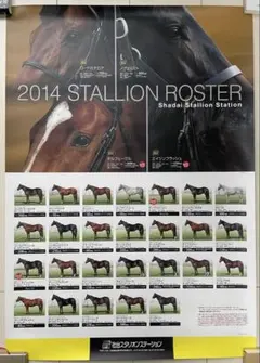 2026年最新】社台 カタログの人気アイテム - メルカリ