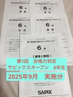 2026年最新】サピックスオープン 6年の人気アイテム - メルカリ