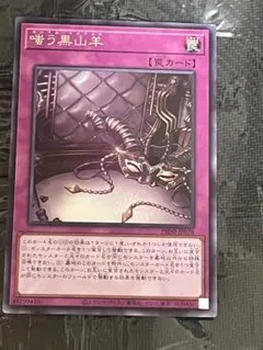 2026年最新】エキスパンション：12期 遊戯王OCG デュエルモンスターズ