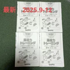 2026年最新】サピックス 基礎力トレーニング 3年の人気アイテム - メルカリ