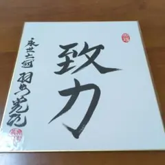 2026年最新】羽生善治 色紙の人気アイテム - メルカリ