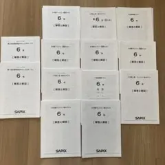 2026年最新】サピックスオープンの人気アイテム - メルカリ