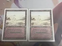 2026年最新】Badlands MTGの人気アイテム - メルカリ