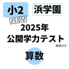 2026年最新】浜学園 公開テスト 小2の人気アイテム - メルカリ