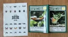 2026年最新】国立科学博物館の人気アイテム - メルカリ