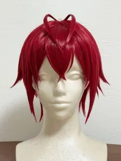 2026年最新】ツイステ リドル ウィッグの人気アイテム - メルカリ