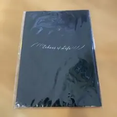 2026年最新】ECHOES_of_LIFEの人気アイテム - メルカリ