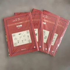 2026年最新】伸芽会オリジナル問題集の人気アイテム - メルカリ