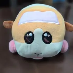 2026年最新】pui puiモルカー お目々うるっとぬいぐるみの人気アイテム