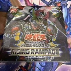 2026年最新】rising rampage アジアの人気アイテム - メルカリ