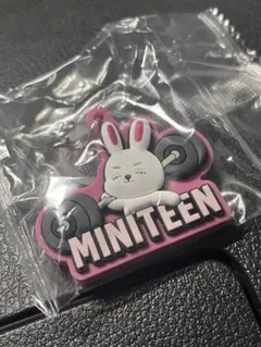 2026年最新】seventeen カプセルトイ ウォヌの人気アイテム - メルカリ