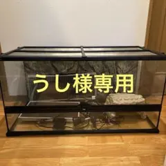 香川引取】GEX エキゾテラ グラステラリウム9045 ハリネズミ飼育