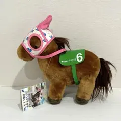 2026年最新】高知競馬 ハルウララの人気アイテム - メルカリ