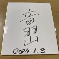 2026年最新】鶴竜 サインの人気アイテム - メルカリ