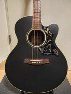 2026年最新】Ibanez アコースティックギターの人気アイテム - メルカリ
