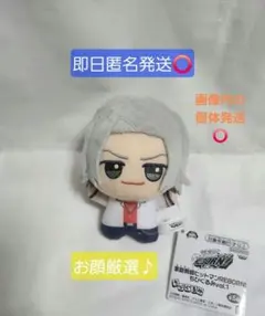 2026年最新】獄寺隼人 ぬいぐるみの人気アイテム - メルカリ