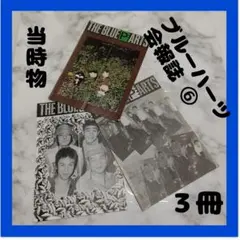 2026年最新】ブルーハーツ 会報の人気アイテム - メルカリ