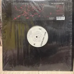 2026年最新】msc matadorの人気アイテム - メルカリ