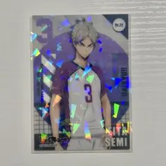 2026年最新】瀬見英太 カードの人気アイテム - メルカリ