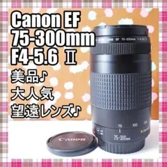 2026年最新】キャノン ウルトラソニック 75-300の人気アイテム - メルカリ