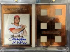 2026年最新】ピートローズ サインの人気アイテム - メルカリ