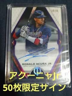 2026年最新】アクーニャjrの人気アイテム - メルカリ