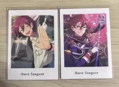 2026年最新】ぱしゃっつ 七種茨の人気アイテム - メルカリ