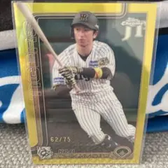 2026年最新】近本光司 bbmの人気アイテム - メルカリ