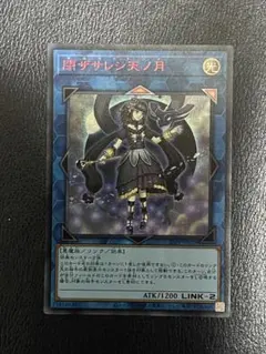 2026年最新】サロスナンナ 赤シクの人気アイテム - メルカリ