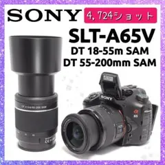 2026年最新】sony α65の人気アイテム - メルカリ