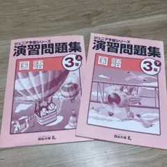 2026年最新】ジュニア予習シリーズ 3年の人気アイテム - メルカリ