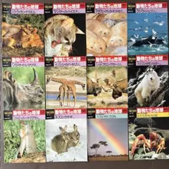 2026年最新】朝日百科 動物の人気アイテム - メルカリ