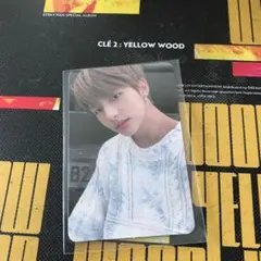 2026年最新】straykids yellow woodの人気アイテム - メルカリ