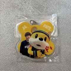 2026年最新】ひえじまの人気アイテム - メルカリ