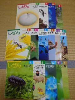 2026年最新】キンダーブック しぜん 2020の人気アイテム - メルカリ