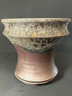 2026年最新】ワイルドヘブン 鉢の人気アイテム - メルカリ