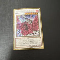 2026年最新】ブラックローズ シークレットの人気アイテム - メルカリ