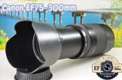 2026年最新】canon kiss x8i 望遠レンズの人気アイテム - メルカリ