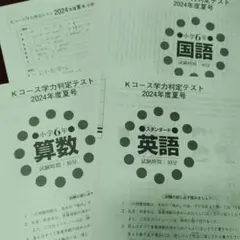 2026年最新】早稲田アカデミー 小3の人気アイテム - メルカリ