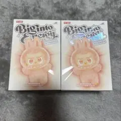 2026年最新】Labubu ぬいぐるみ 未開封の人気アイテム - メルカリ