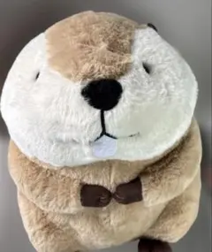 2026年最新】むっちりビーバーたっちウルトラBIGの人気アイテム - メルカリ