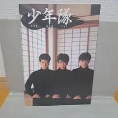 2026年最新】少年隊コンサートの人気アイテム - メルカリ