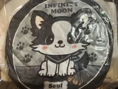 2026年最新】登坂広臣 ブランケットの人気アイテム - メルカリ