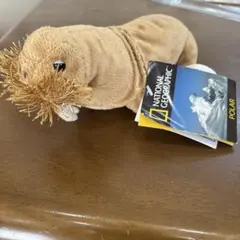 2026年最新】セイウチ牙の人気アイテム - メルカリ