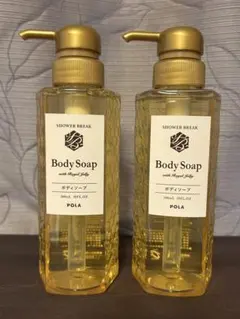 2026年最新】pola シャワーブレイク ボディソープの人気アイテム