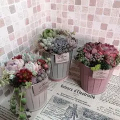 2026年最新】多肉寄せ植えそのまま飾れるの人気アイテム - メルカリ