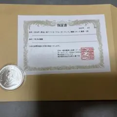 2026年最新】クルーガー銀貨の人気アイテム - メルカリ