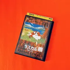2026年最新】あらいぐまラスカル dvdの人気アイテム - メルカリ