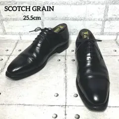 2026年最新】シャインオアレイン スコッチグレインの人気アイテム