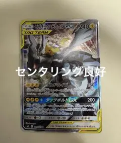 2026年最新】ピカチュウ&ゼクロムgx saの人気アイテム - メルカリ